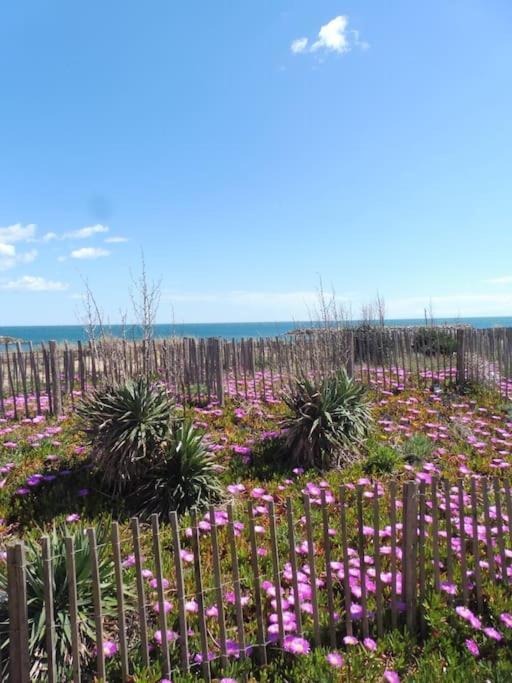 Le Petit Coin De Paradis. Valras-Plage Extérieur photo
